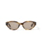 02.H/BROWN
