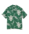 145 GREEN
