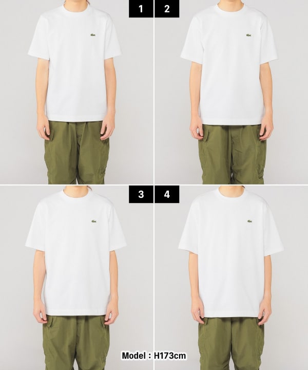 BEAMS（ビームス）【別注】LACOSTE / ロゴ Tシャツ（Tシャツ・カットソー Tシャツ）通販｜BEAMS