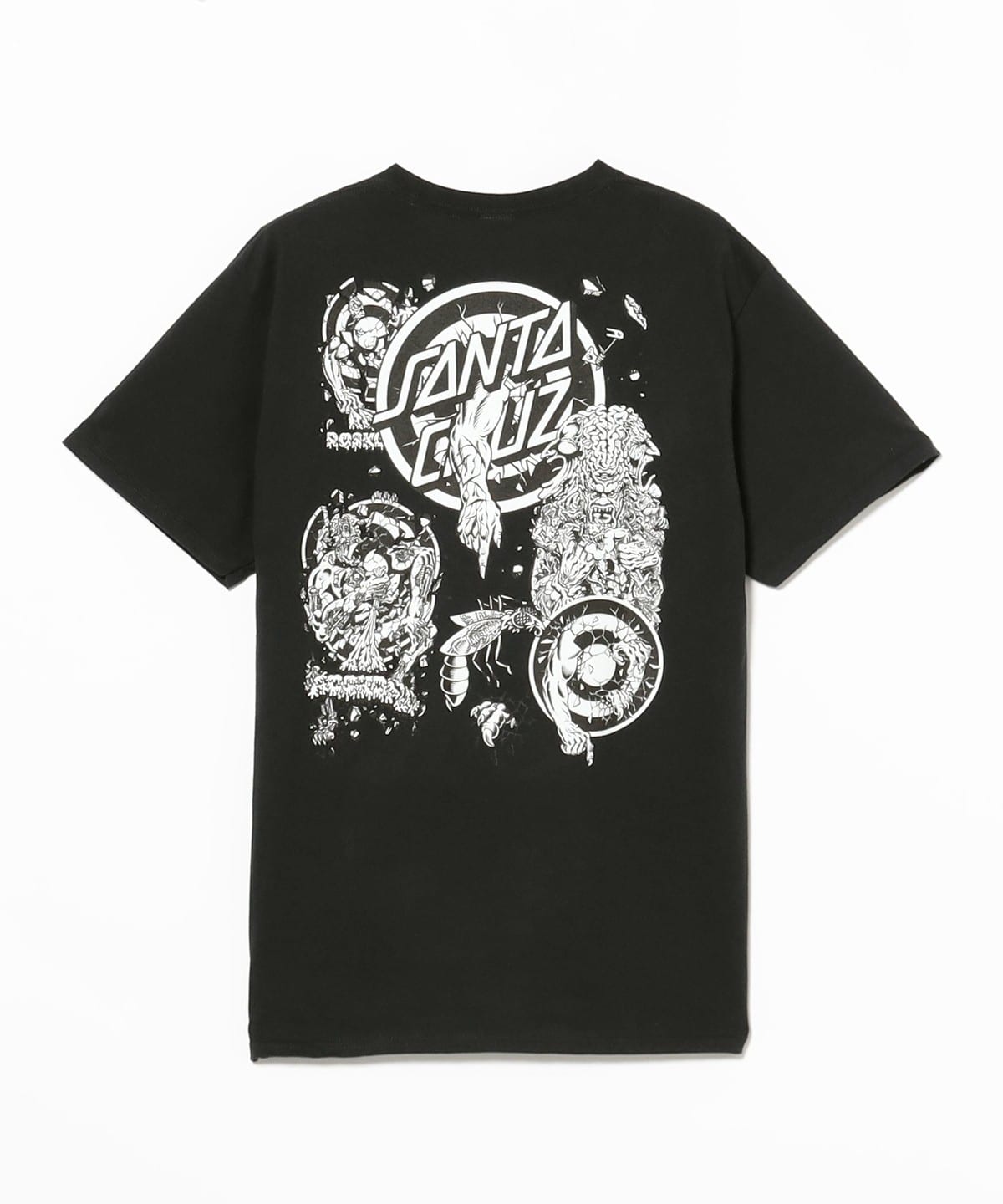 BEAMS（ビームス）SANTA CRUZ / ROSKOPP EVO 2 S/S REGULAR T