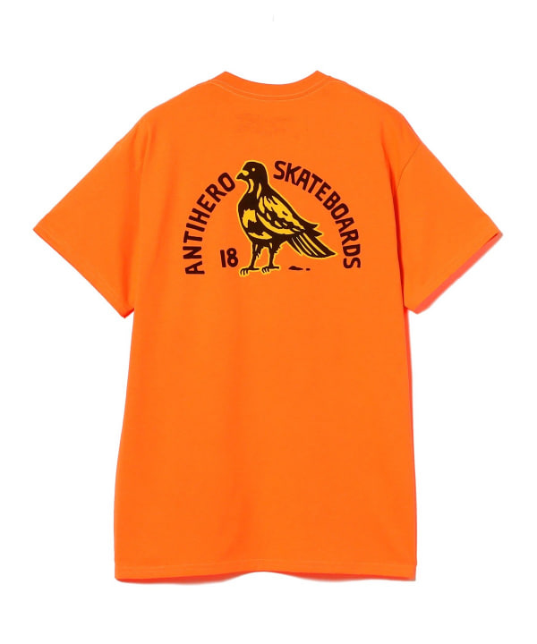 BEAMS（ビームス）ANTI HERO / ROCK DOVE FILL POCKET TEE（Tシャツ