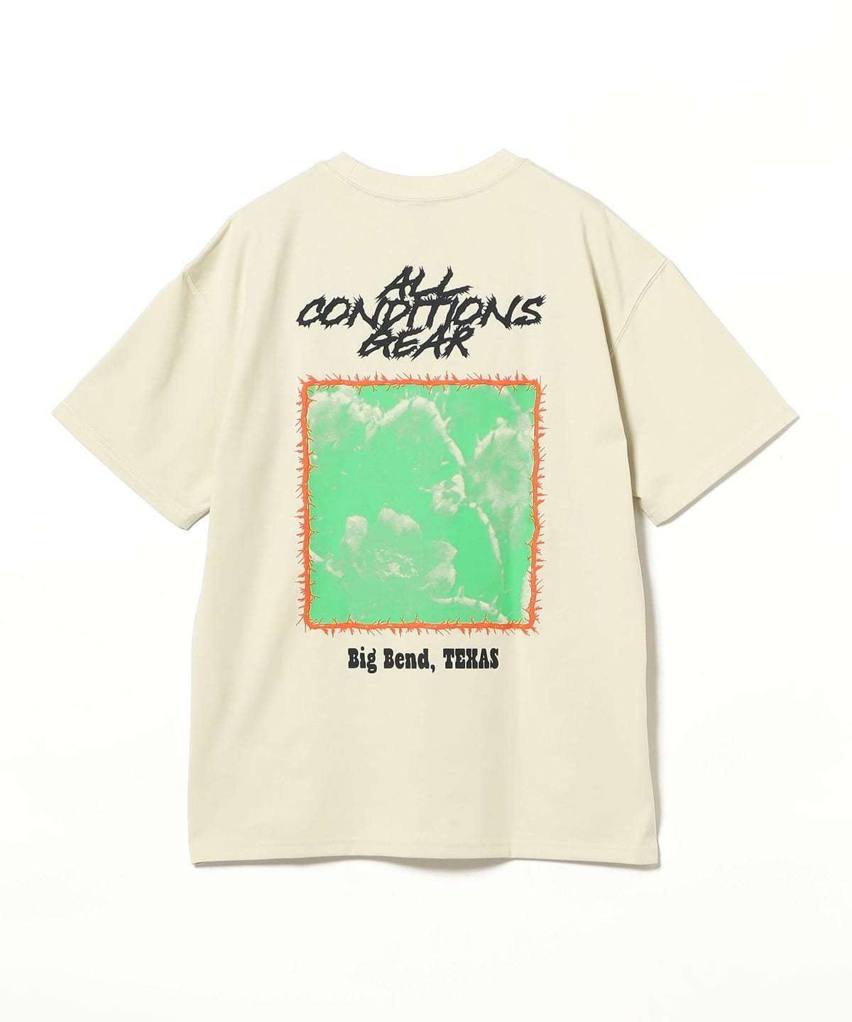 BEAMS（ビームス）NIKE / ACG OC CACTUS S/S TEE（Tシャツ・カットソー 