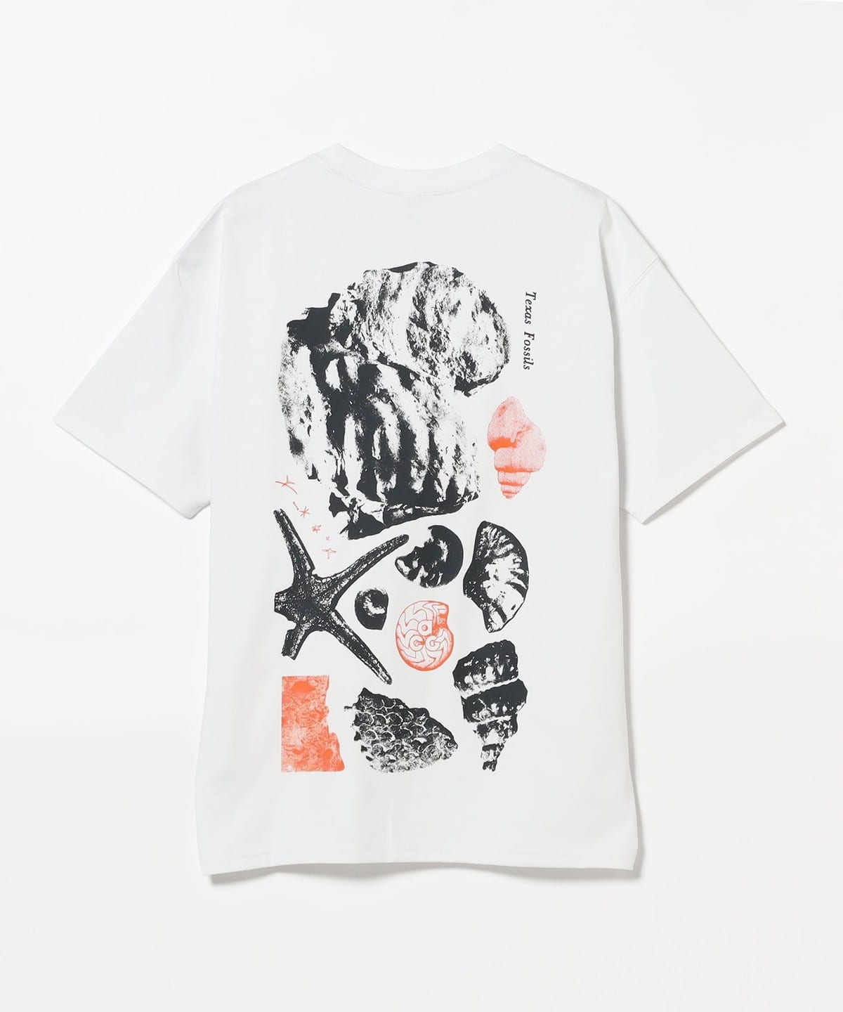 BEAMS（ビームス）NIKE / ACG FOSSILS TEE（Tシャツ・カットソー T 