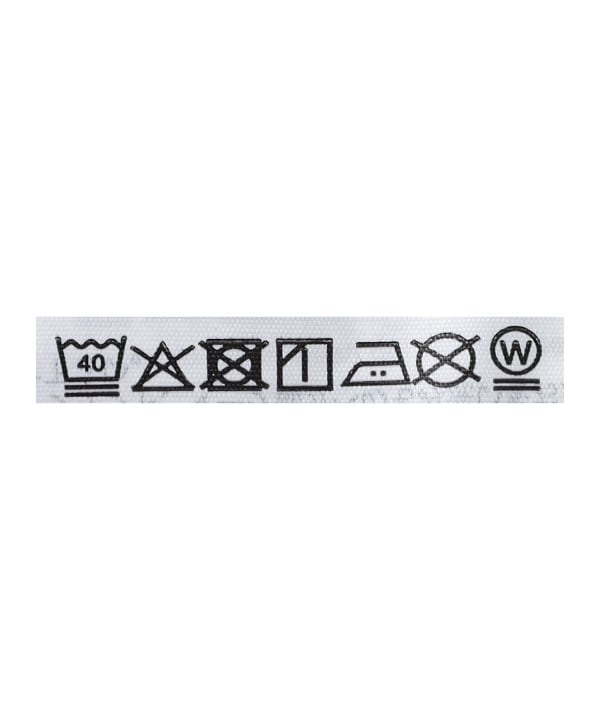 【別注】Champion /米老鼠/T卹