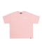 FLAMINGO②