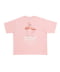FLAMINGO②