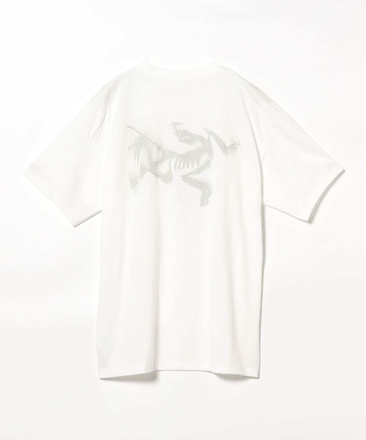 BEAMS (BEAMS) ARC'TERYX / Kragg SL Cotton Blurred Bird SS M (T