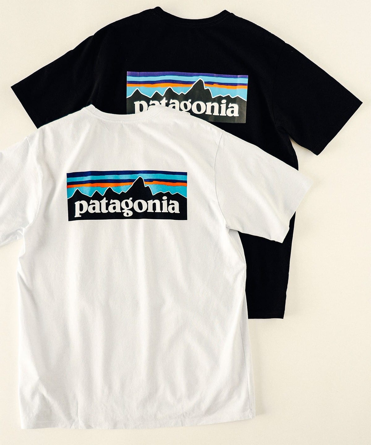 BEAMS（ビームス）patagonia / P-6 Logo Responsibili Tee（Tシャツ