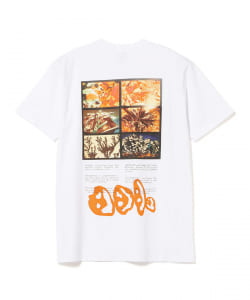 ▲JAM / Rocks Of Tシャツ