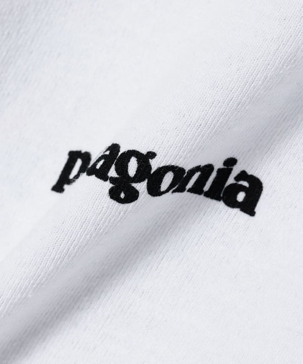 BEAMS（ビームス）patagonia / P-6 ロゴ ロング Tシャツ（T