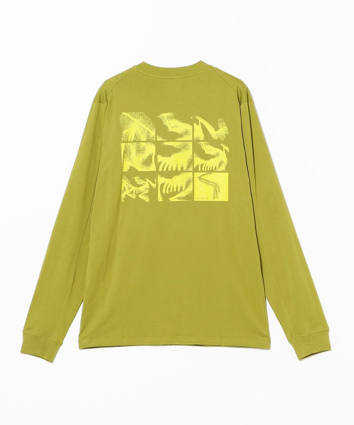 BEAMS（ビームス）ARC'TERYX / Kragg SL Cotton Bird Tile LS（Tシャツ