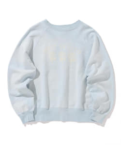 ▲ANTI VINTAGE / COLOR FLOCKY CREWNECK SWEAT