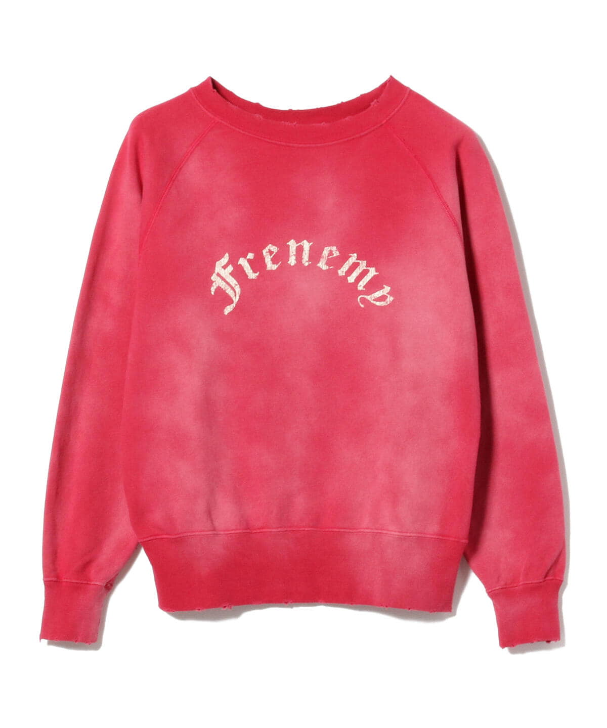 BEAMS（ビームス）FUTURE ARCHIVE / DAMEGE FLOCKY PRINT CREWNECK 