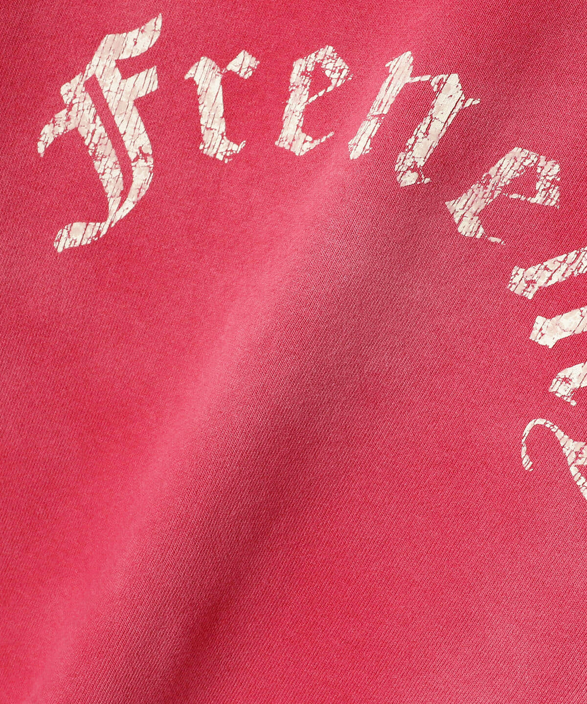 BEAMS（ビームス）FUTURE ARCHIVE / DAMEGE FLOCKY PRINT CREWNECK