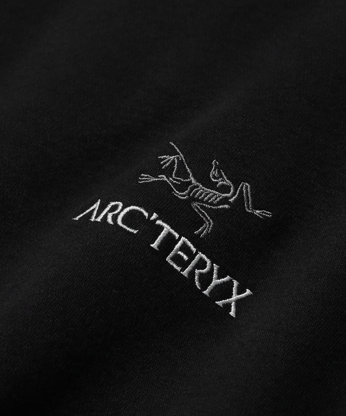 BEAMS（ビームス）ARC'TERYX / Emblem Fleece Crew（トップス