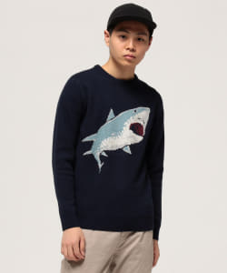 ▲BEAMS / ウール ジャカード グラフィック クルーネック ニット