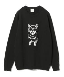 ▲fLAnsisCA × BEAMS / 別注 ジャカード ニット