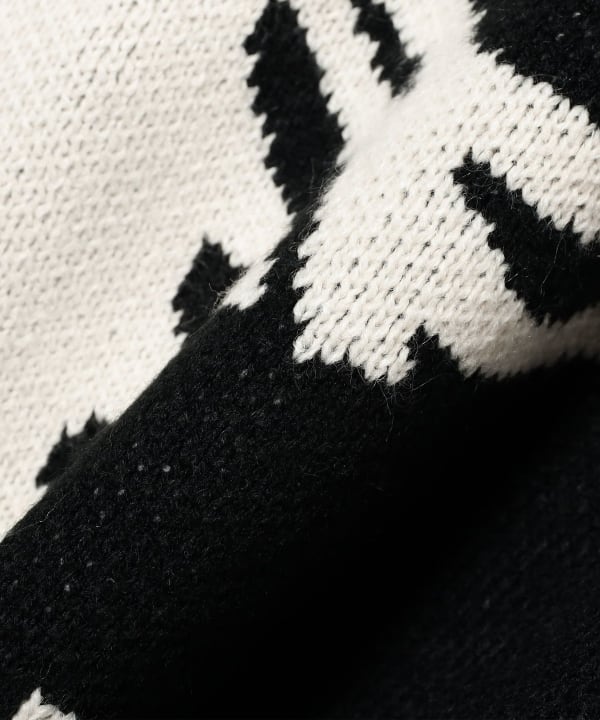 BEAMS（ビームス）【別注】VANSON × TAPPEI × FUTURE ARCHIVE / Crew