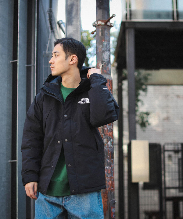 THE NORTH FACE◇MOUNTAIN DOWN JACKET_マウンテンダウンジャケット/L