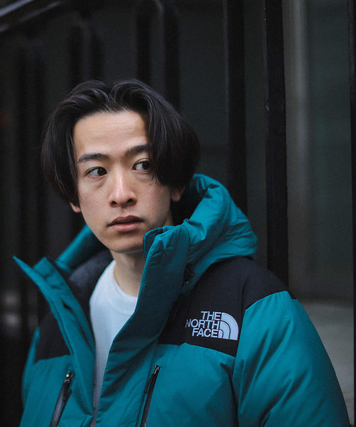 BEAMS（ビームス）THE NORTH FACE / Baltro Light Jacket（ブルゾン