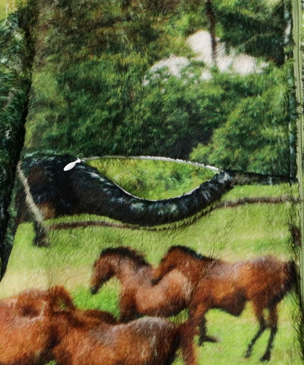 BEAMS（ビームス）RANDY / STARRY（ブルゾン ブルゾン）通販｜BEAMS