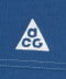 COURT BLUE