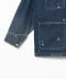 INDIGO USED