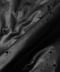 BLK0049:DeepBlack