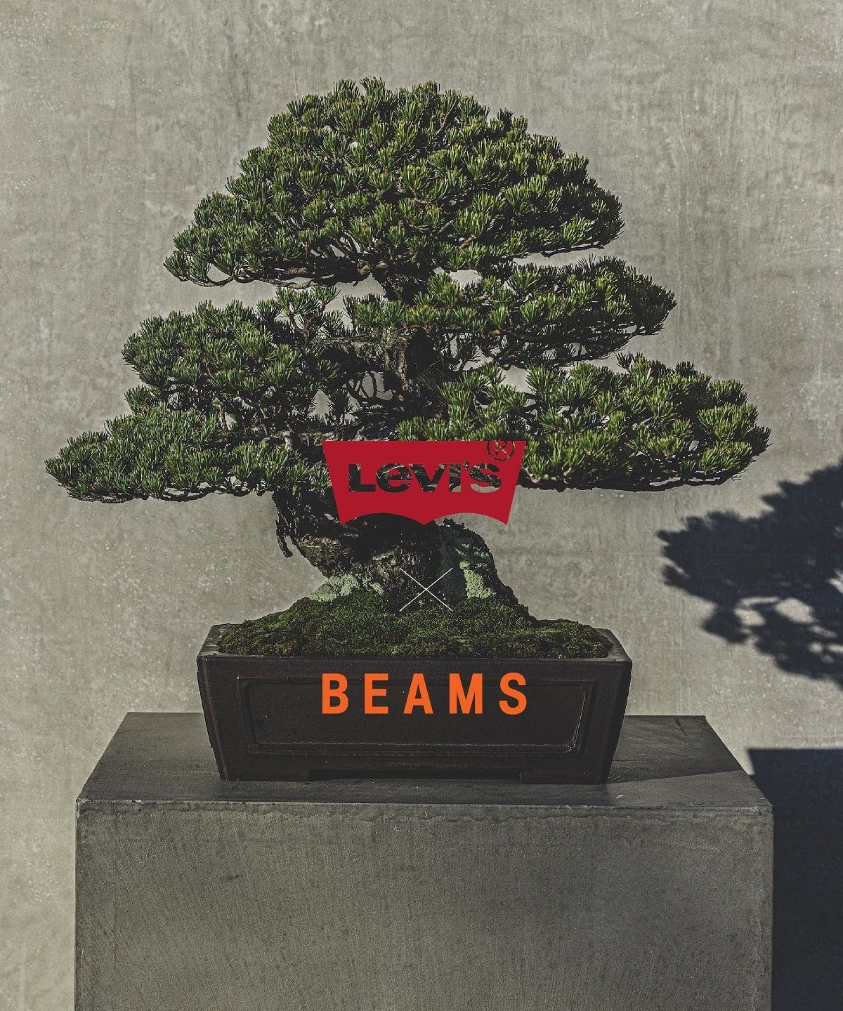 ビームス 別注 Levis リーバイス 501 BLACK DENIM BEAMS LIMITED