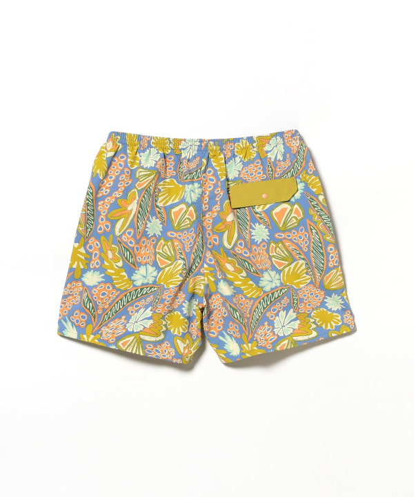 パタゴニア　バギーズショーツ　5インチ　SP18 SPTG ビームス BEAMS（ビームス）patagonia / Baggies Shorts 5inch（パンツ