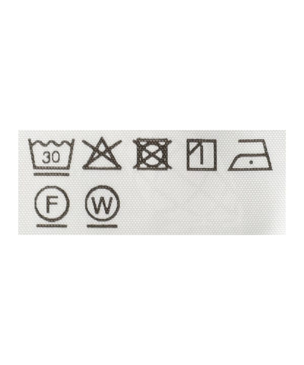 BEAMS JAPAN（ビームス ジャパン）TECH CHECK SHORTS（パンツ ショート