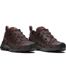 【EXCLUSIVE】SALOMON / 