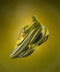 PEA GREEN/HOKA CITRUS