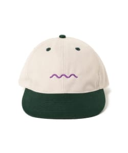 The Good Company / ChillWave & Skateboards Cap