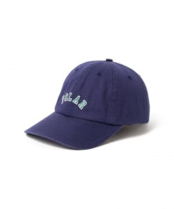 POLAR SKATE CO. / Sai Cap College Logo