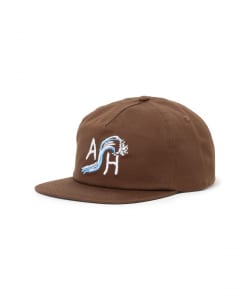 ANTI HERO / EXPRESSION SNAPBACK