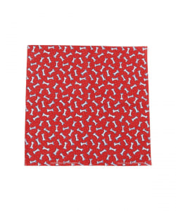 HAV-A-HANK / Print Bndana