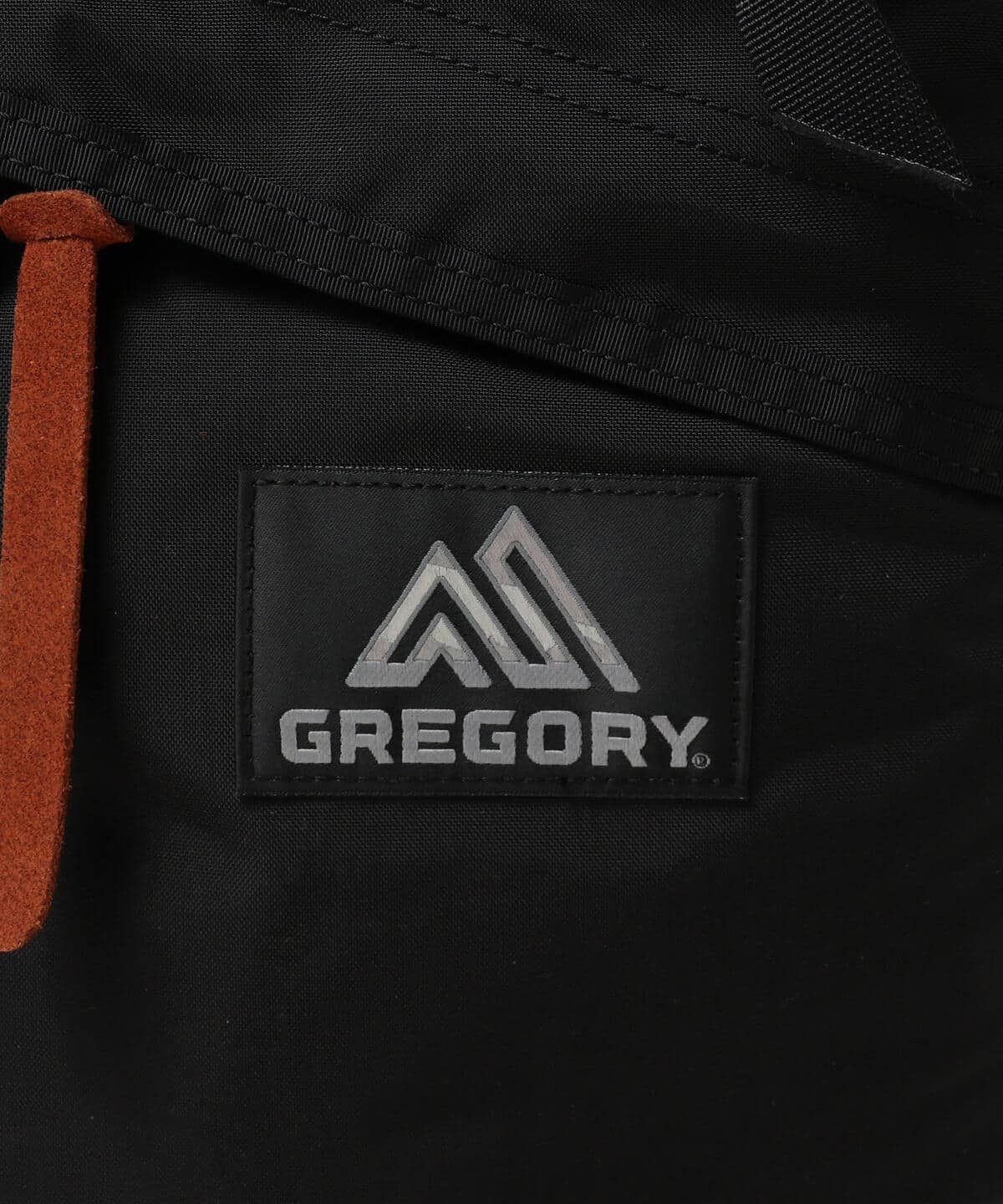 BEAMS（ビームス）GREGORY / DAY PACK（バッグ リュック・バックパック 