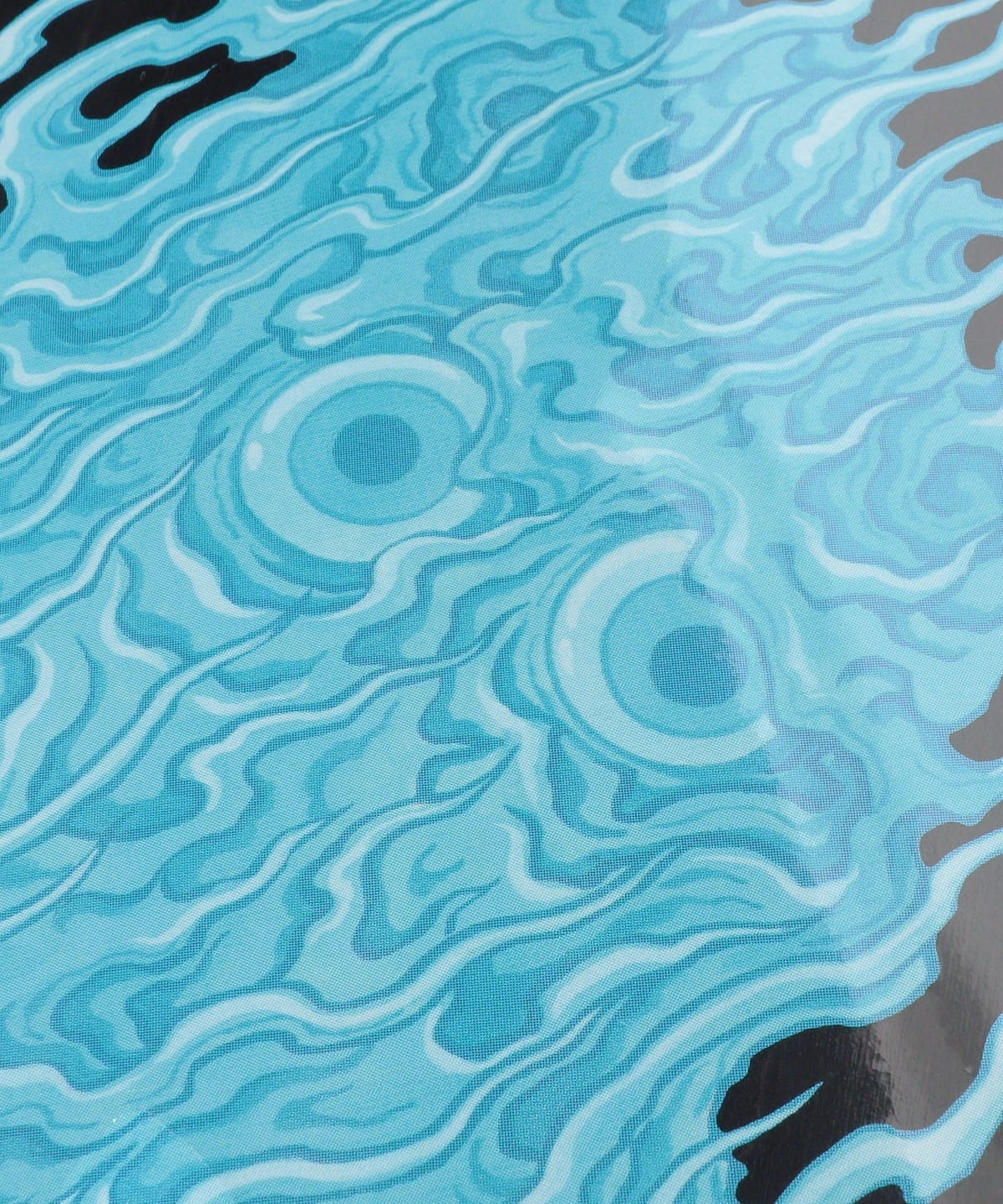 BEAMS JAPAN（ビームス ジャパン）EVISEN SKATEBOARDS / SEIKAIKA