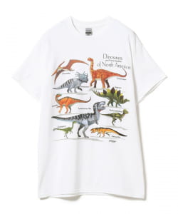 Atlas Screen Printing / Dinosaurs Tee
