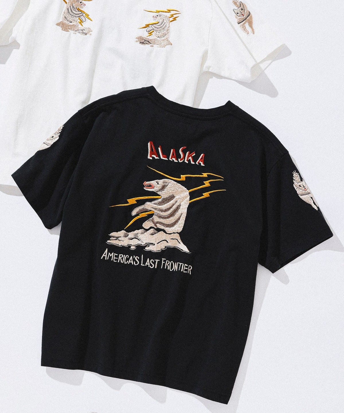 Tailor Toyo × BEAMS BOY / Special order ALASKA T-shirt