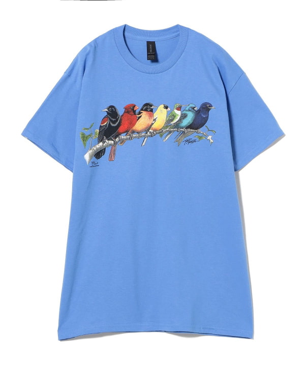 あなた　【３点】 BEAMS BOY（ビームス ボーイ）Atlas Screen Printing / Songbird