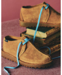 【別注】Clarks / Desert Trek GORE-TEX（R）