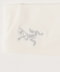 Arctic Silk