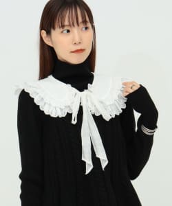 【BEAMS JAPAN限定】TORI-TO × BEAMS BOY /  バックトゥフロント 付け襟