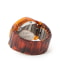 Tortoise shell