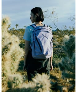 【EXCLUSIVE】ARC'TERYX / MANTIS 26