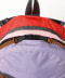 RED/PURPLE