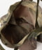 LIGHT CAMO