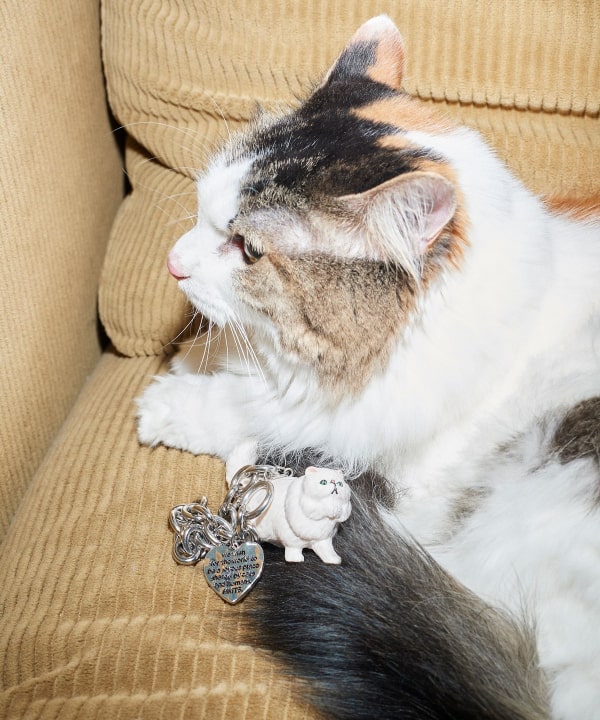 mmts（マミタス）猫ブレスレット（アクセサリー ブレスレット）通販｜BEAMS